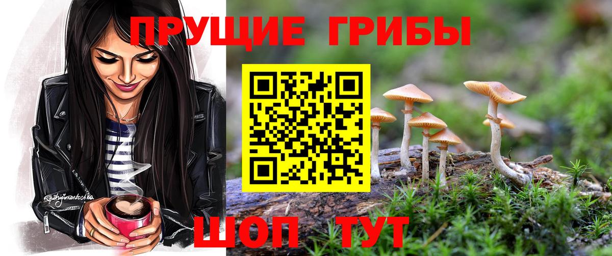 Галлюциногенные грибы мицелий  Вход с VPN  наркота  Брянск 